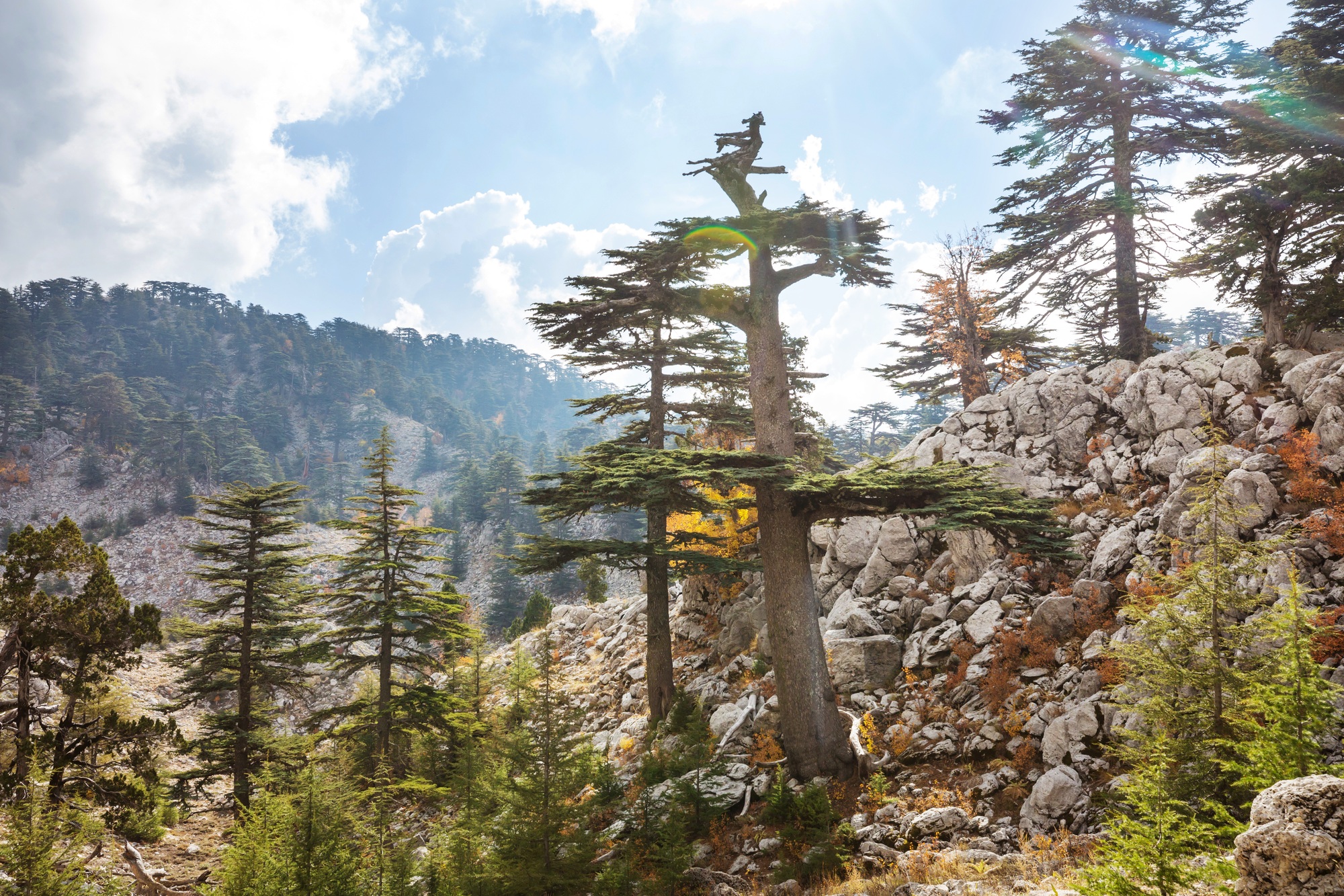 Province d ifrane