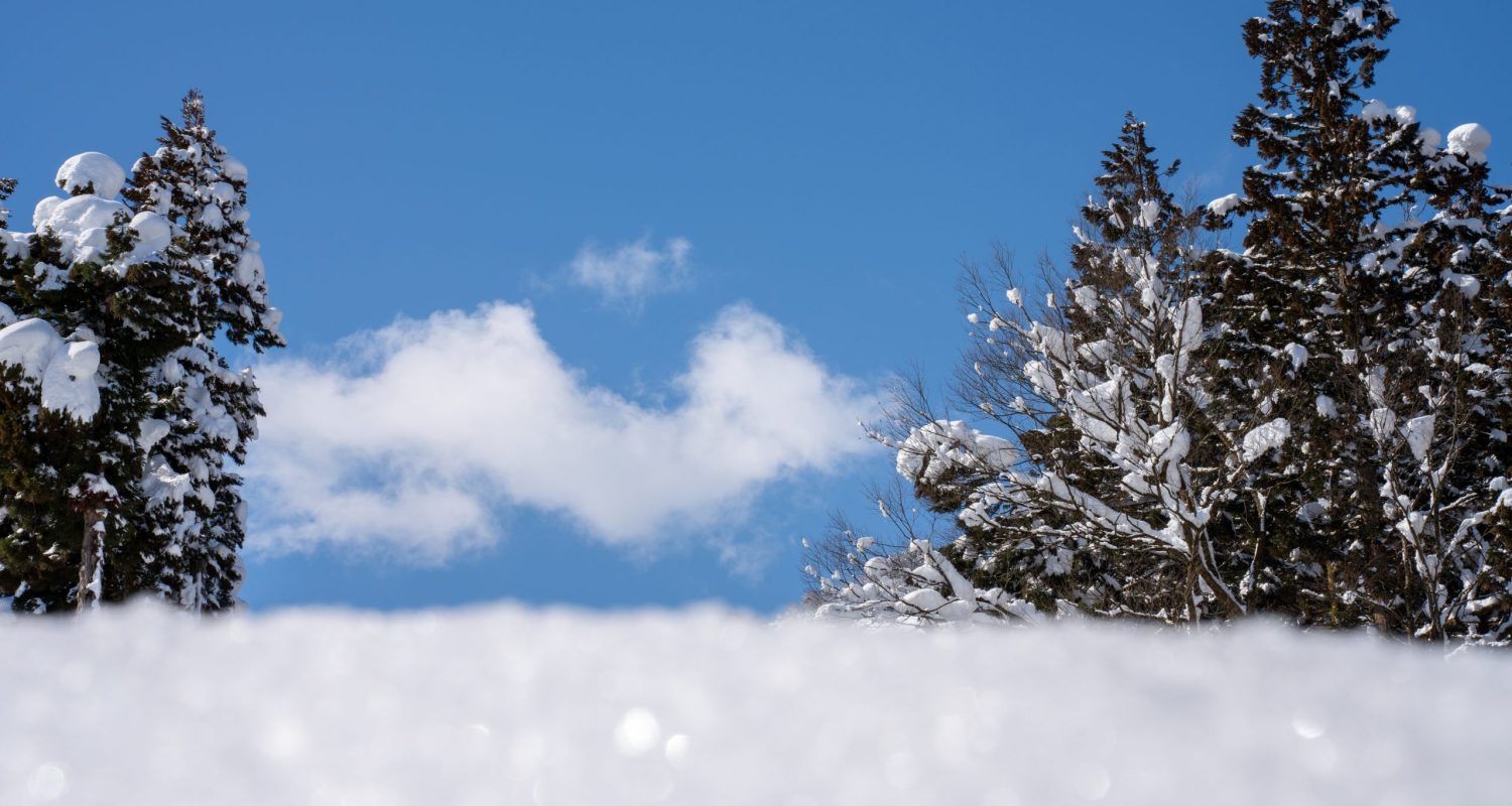 Thick layers of untouched snow cover rooftops and the landscape under a bright blue sky in a quiet forested village, capturing the purity, stillness, and beauty of winter in a serene natural setting.